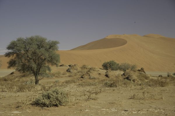 In der Namib Wüste, Sossusvlei, Namibia, problemlos mit dem Mietwagen zu befahren