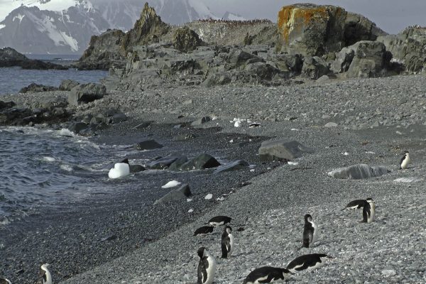 Nähe King George Island, Antarktis