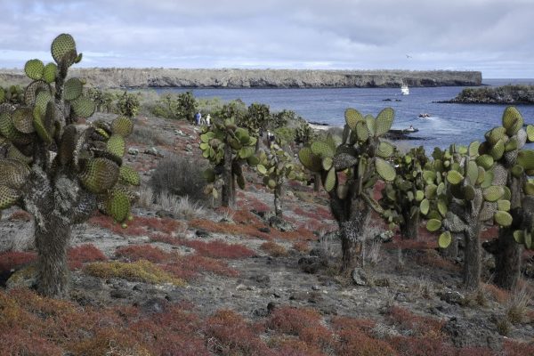 Auf Celebrity Xpedition auf Kreuzfahrt zu sieben Galapagos Inseln
