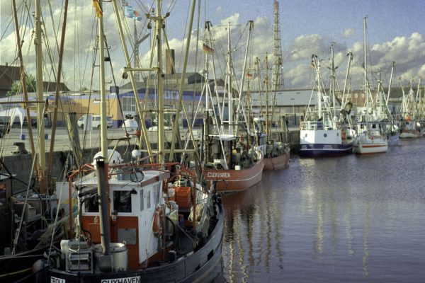 Alter Fischereihafen, Cuxhaven. Ob sich das hier in Zukunft wohl entwickeln wird?!