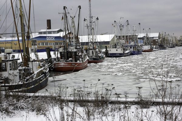 Der alte Fischereihafen, bei starkem Frost mit einer ganz besonderen Atmosphäre
