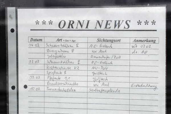 Für Vogelliebhaber die Orni News an einer der Hummerbuden, Helgoland