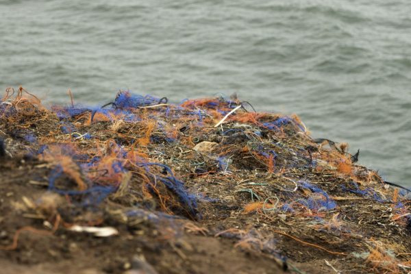 Am Lummenfelsen im Dezember, keine Vögel aber viel Müll aus dem Meer.